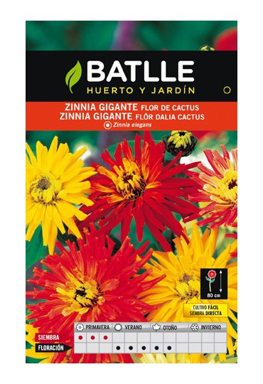 Semillas flores BATLLE SEMILLA DE ZINNIA GIGANTE | Mundo Verde/Garden Center