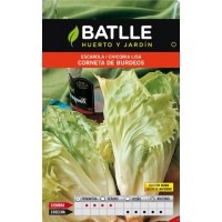 BATLLE SEMILLA ESCAROLA CORNETA DE BURDEOS DIANA