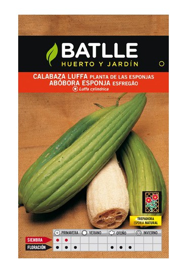 BATLLE SEMILLA DE CALABAZA LUFFA