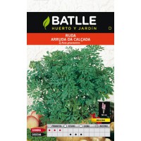 BATLLE SEMILLA DE RUDA