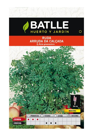 BATLLE SEMILLA DE RUDA