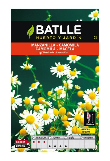 BATLLE SEMILLA DE MANZANILLA CAMOMILA