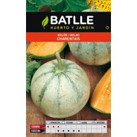 BATLLE MELON CHARENTAIS