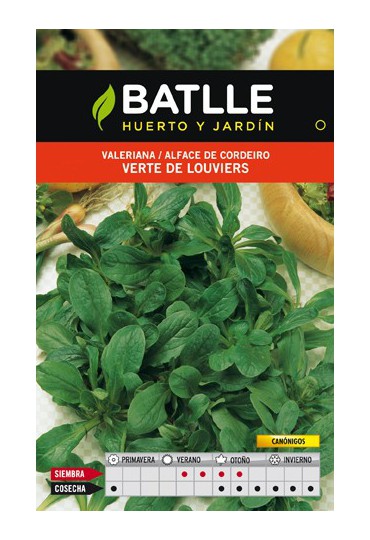 BATLLE VALERIANA VERTE DE LOUVIERS