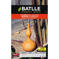 BATLLE SEMILLA DE CALABAZA PEREGRINO