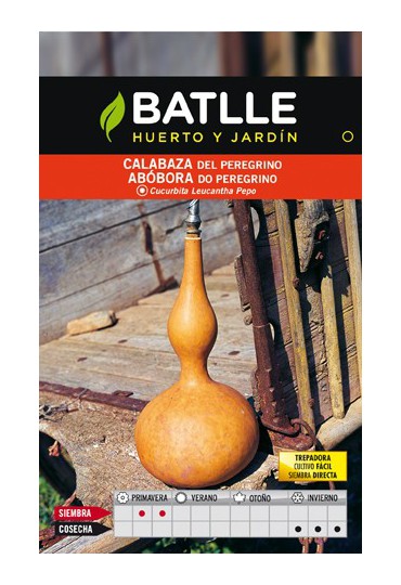 BATLLE SEMILLA DE CALABAZA PEREGRINO