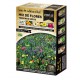BATLLE KF-MIX FLORES ZONAS SOMBRIAS