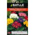 BATLLE SEMILLA PRIMULA PRIMAVERA