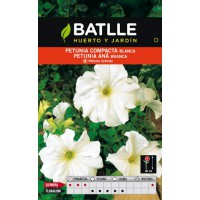 BATLLE SEMILLA DE PETUNIA BLANCA COMPACTA