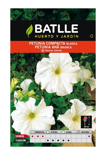 BATLLE SEMILLA DE PETUNIA BLANCA COMPACTA