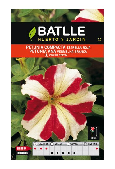 BATLLE SEMILLA DE PETUNIA COMPACTA ROJA