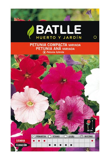 BATLLE SEMILLA DE PETUNIA COMPACTA VARIADA