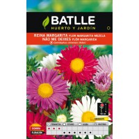 BATLLE SEMILLA REINA MARGARITA MEZCLA