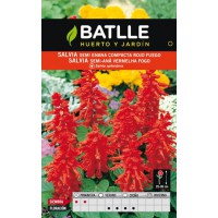 BATLLE SEMILLA DE SALVIA SEMI ENANA