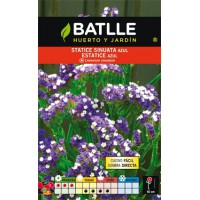 BATLLE SEMILLA DE STATICE AZUL