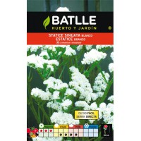 BATLLE SEMILLA STATICE BLANCO