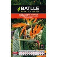 BATLLE SEMILLA DE STRELITZIA AVE DEL PARAISO