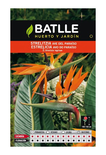 BATLLE SEMILLA DE STRELITZIA AVE DEL PARAISO