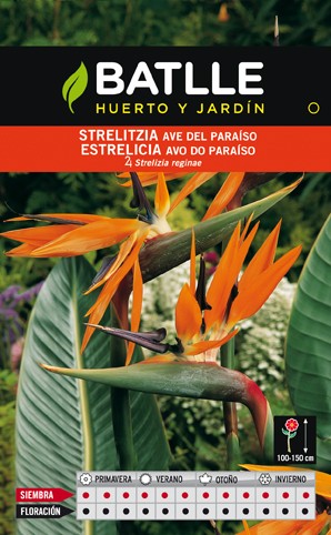Semillas flores BATLLE SEMILLA DE STRELITZIA AVE DEL PARAISO | Mundo  Verde/Garden Center