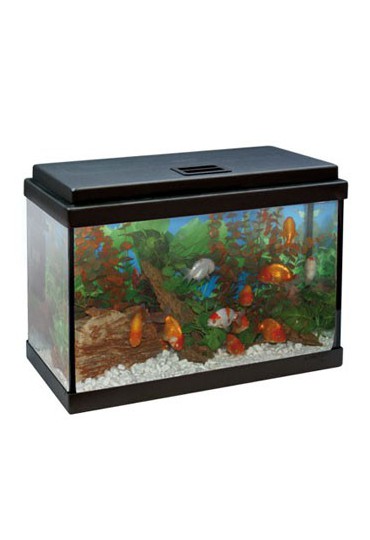 ACUARIO KIT  AQUALED NEGRO 40CM