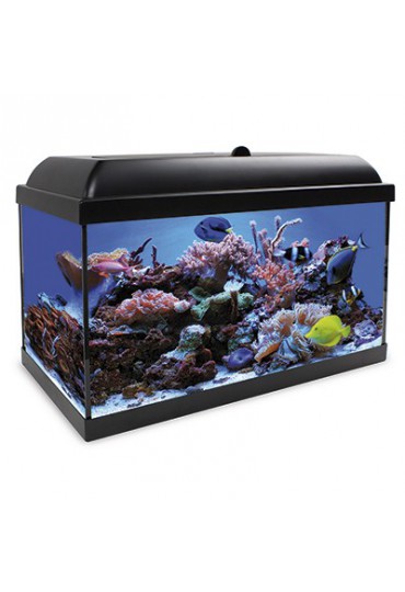 ACUARIO KIT MARINO HYDRA 80L NEGRO