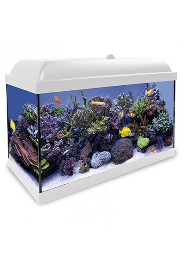 ACUARIO KIT MARINO HYDRA 80L BLANCO