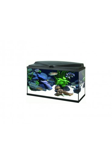 ACUARIO AQUA 80 LIGHT