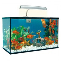 ACUARIO HAPPY PEZ 20 LTS