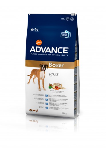 Advance Boxer Advance Boxer