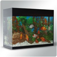 ACUARIO KIT INTERIOR AQUALUX 68 NEGRO BIO FILTRO