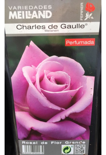ROSAL GRAND. CHARLES DE GAULLE