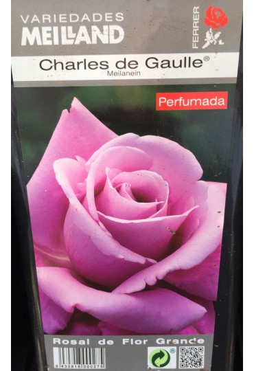 ROSAL GRAND. CHARLES DE GAULLE