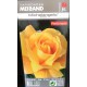 ROSAL GRANDIFLORA MICHELANGELO