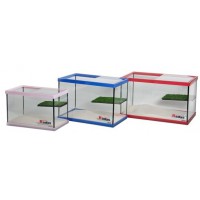 TORTUGUERA COLOR C/PLATAFORMA 6 L