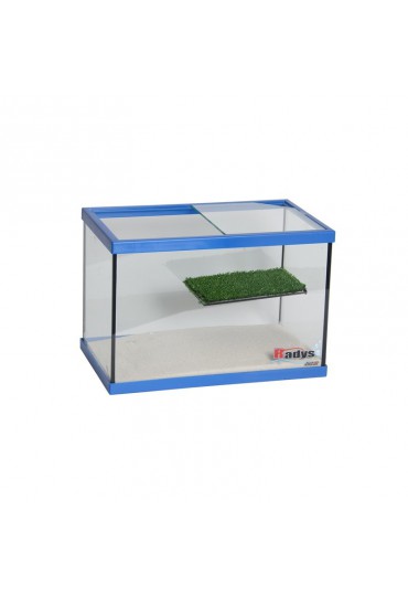 TORTUGUERA COLOR C/PLATAFORMA 11 L