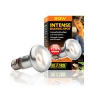 EXO TERRA INTENSE BASKING SPOT 50 W