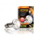 EXO TERRA INTENSE BASKING SPOT 75 W