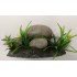 DECORACION PIEDRAS CON PLANTAS