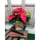 flor-de-pascua-poinsettia-m-12-cms_2