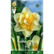 narciso-doble-blanco-elite