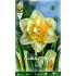 NARCISO DOBLE BLANCO ELITE