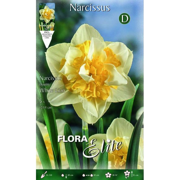 Portal Cool 400X Mixta narciso doble del narciso Bulbos Duo semillas de plantas de flores de primavera Decorra 
