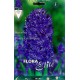 jacinto-azul-oscuro-elite