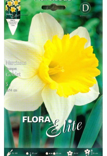 narciso-trompeta-blanco-amarillo-elite