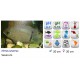 CICHLASOMA SEVERUM ORO