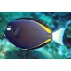 ACANTHURUS NIGRICANS