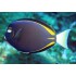 ACANTHURUS NIGRICANS