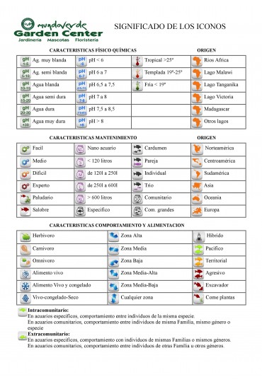CORYDORA AGASIZZI