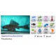 PLECOSTOMUS