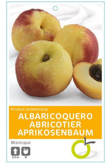 ALBARICOQUERO MONIQUI